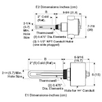 SS Immersion Heater 2" NPT Process Water Thermostat