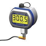 Digital RTD Thermometer with NEMA 4X Enclosure